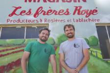 Albert LICTEVOUT - Albert Lictevout